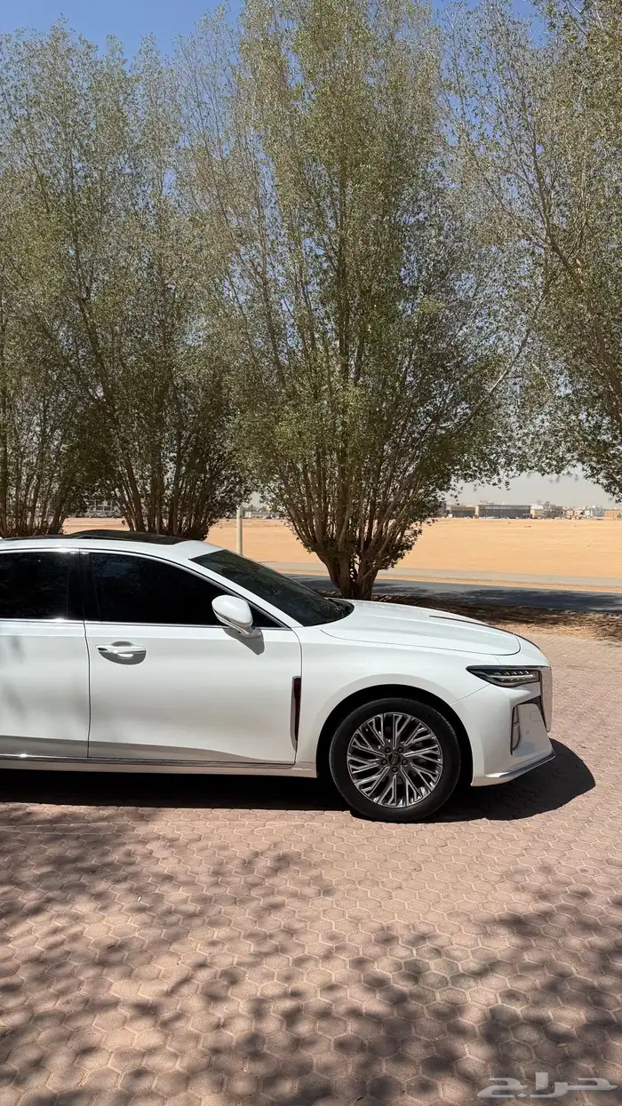 هونشي 2024 ممشي قليل 9