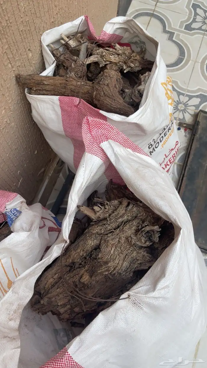 رمث وارطى شي طيب وفاخر ع 50 الجميع 1