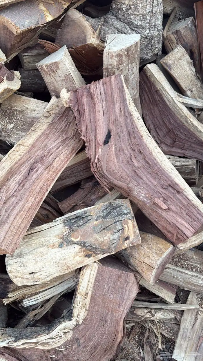 صندوق والدنا اللبيع نضيف 2