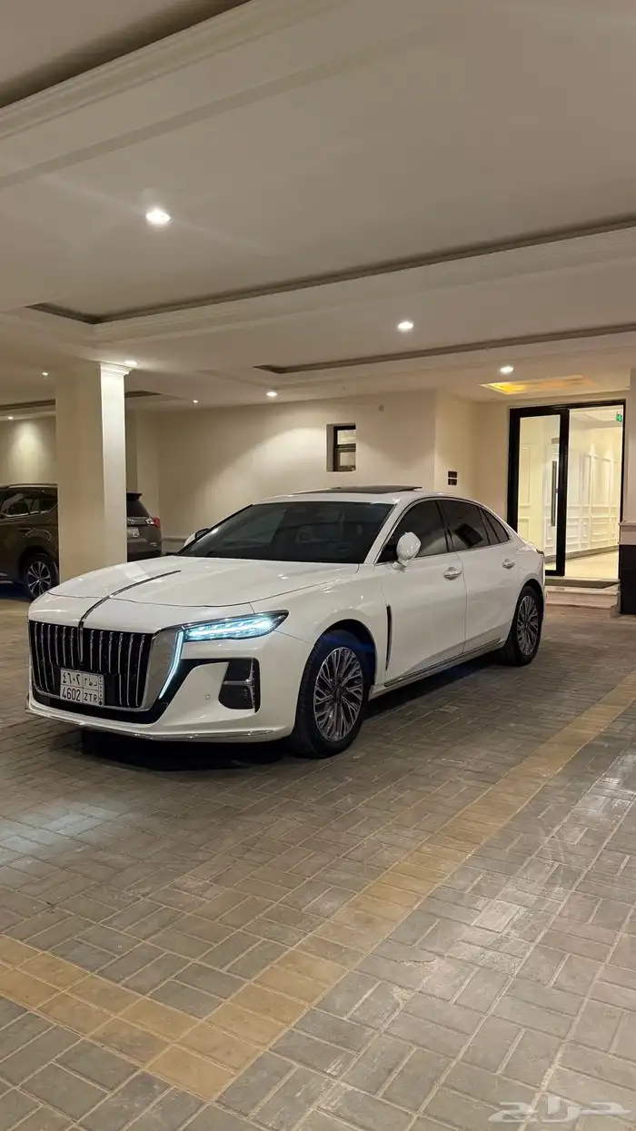 هونشي 2024 ممشي قليل 19