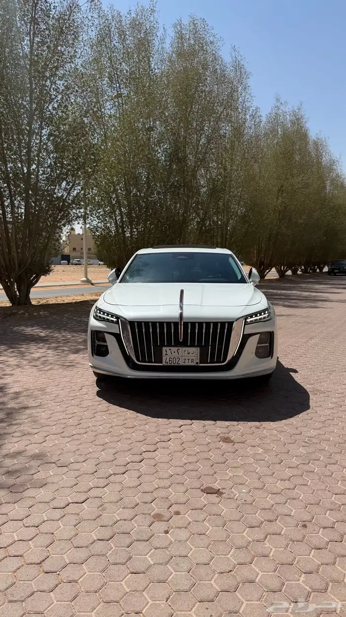 هونشي 2024 ممشي قليل 1