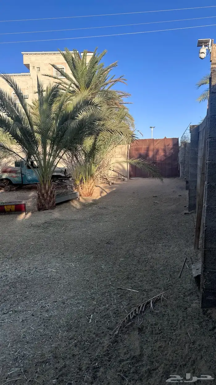 زريبة غنم جاهزه 2