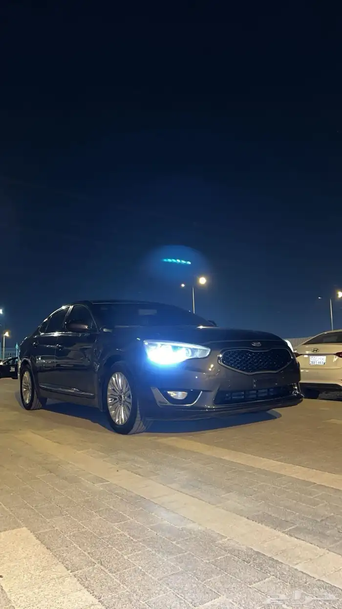 كادينزا 2014 15