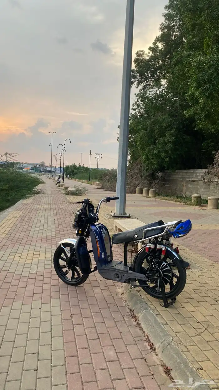 سكوتر كهربائي 13