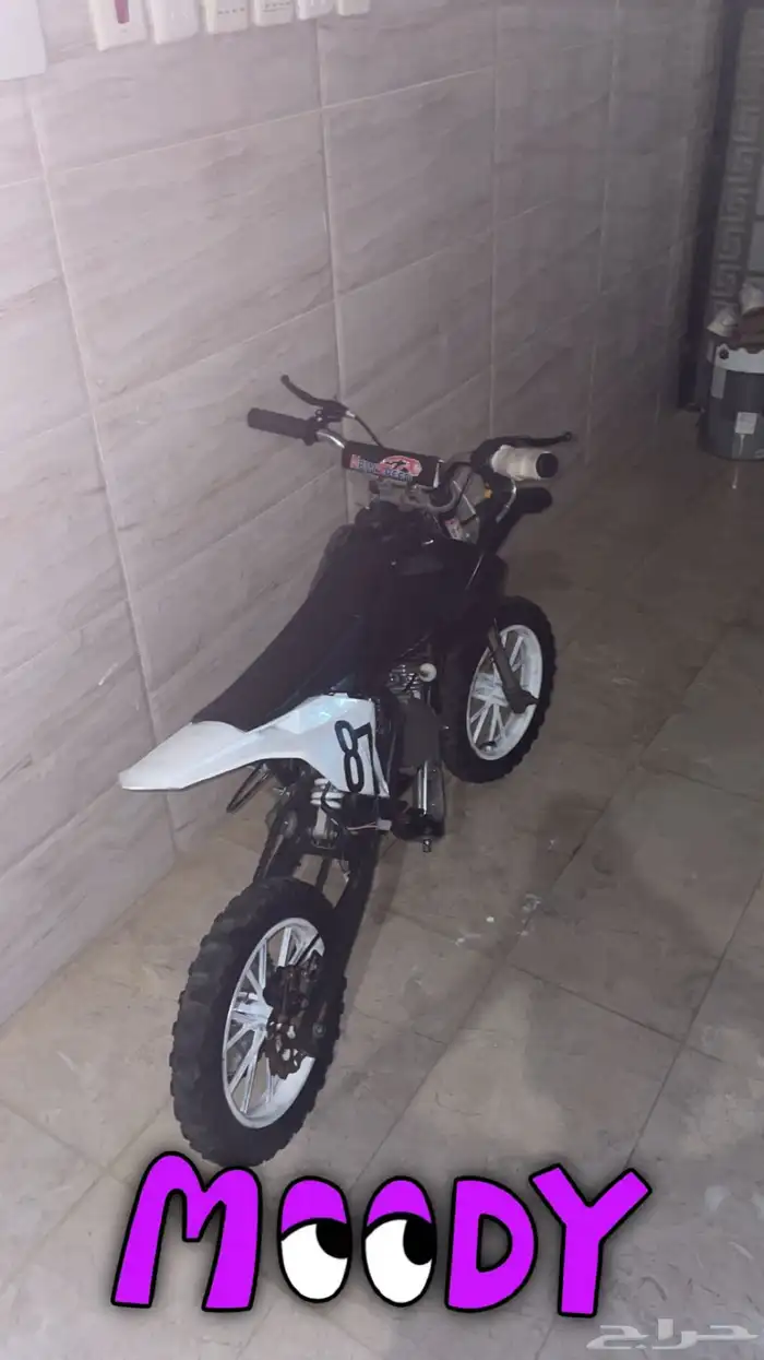 دباب صحراوي صغير 0