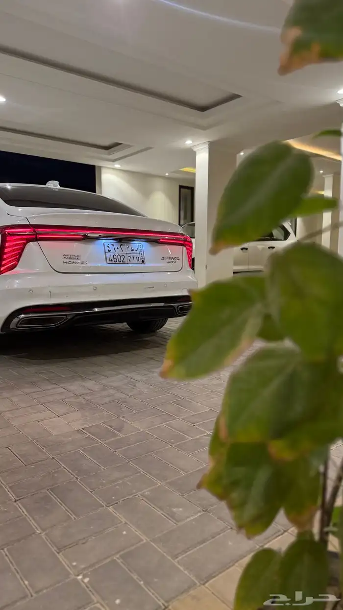 هونشي 2024 ممشي قليل 33