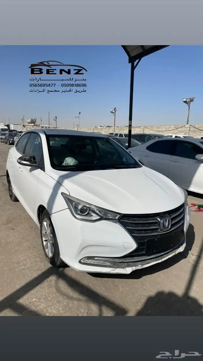 شانجان ال سفن مصدوم 5