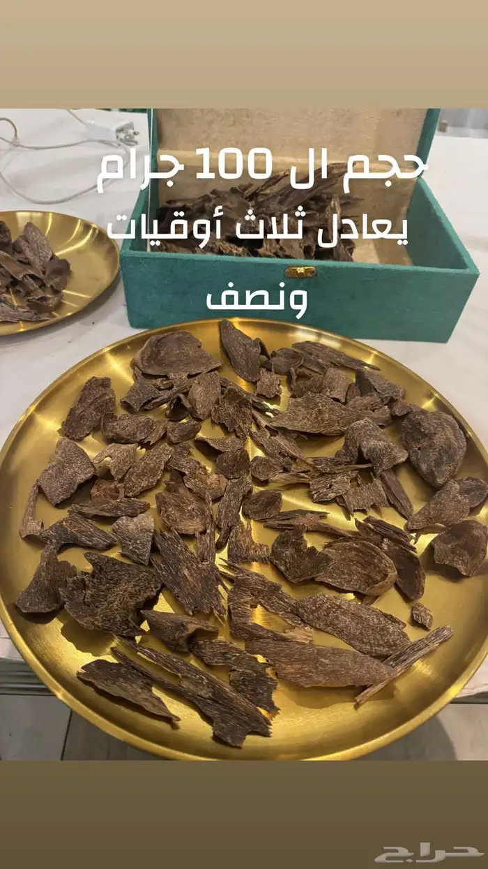 عود بنكاوي درجه عاليه طبيعي 100   100 11