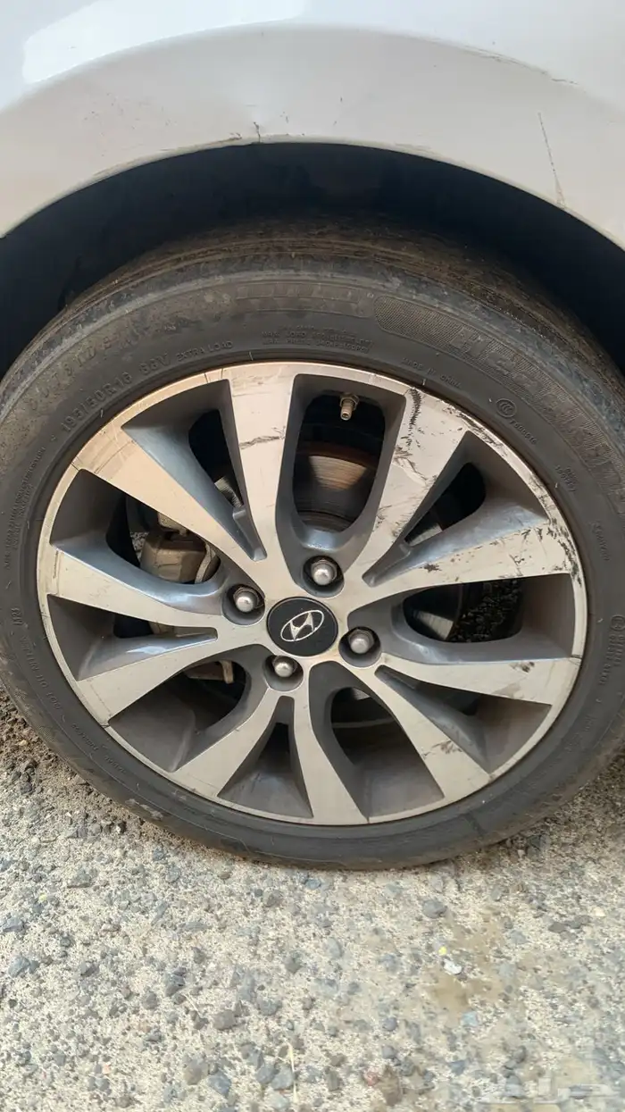 جنوط اكسنت وكالة 3