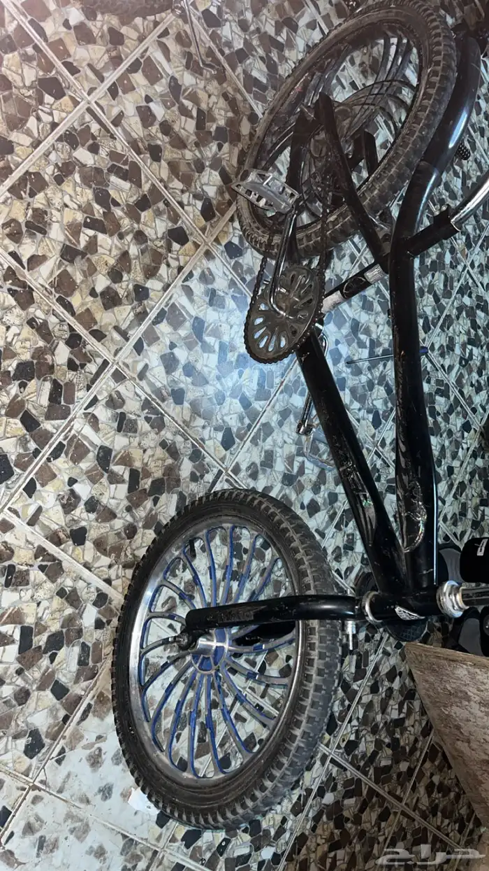 سياكل وجنوط 0