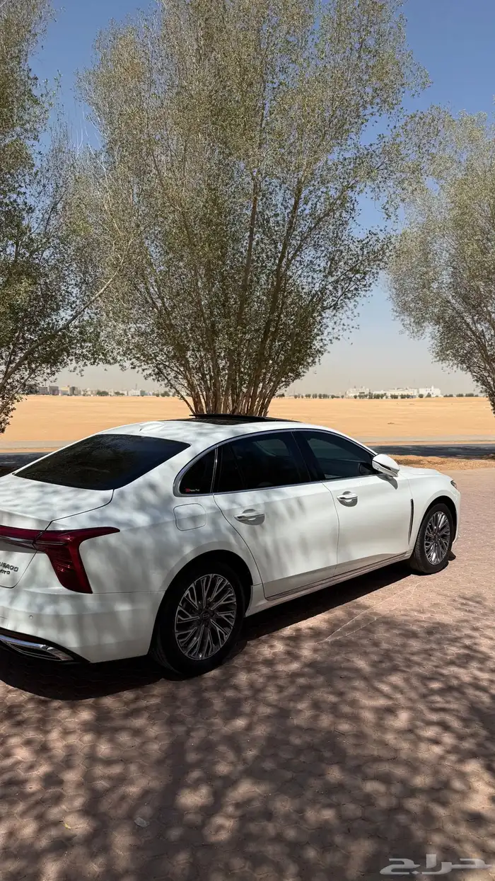 هونشي 2024 ممشي قليل 7