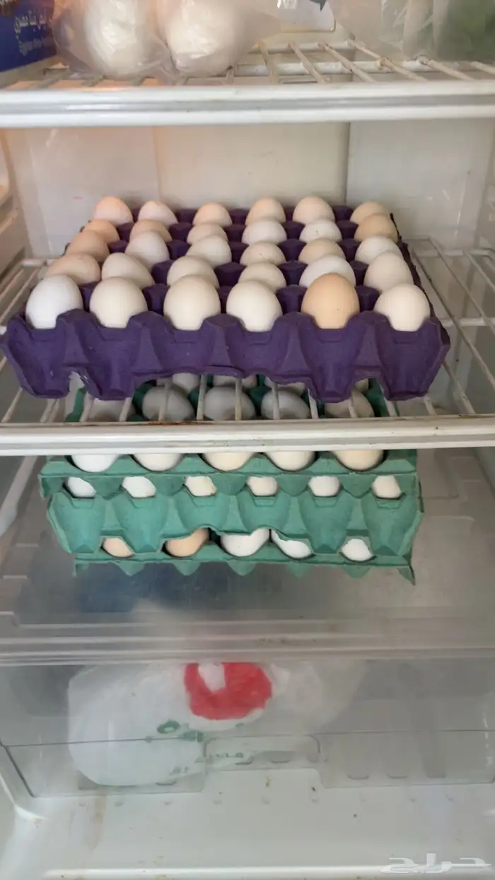 بيض بلدي طازج 0