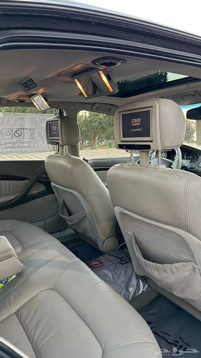 كابرس 2006 رويال 31