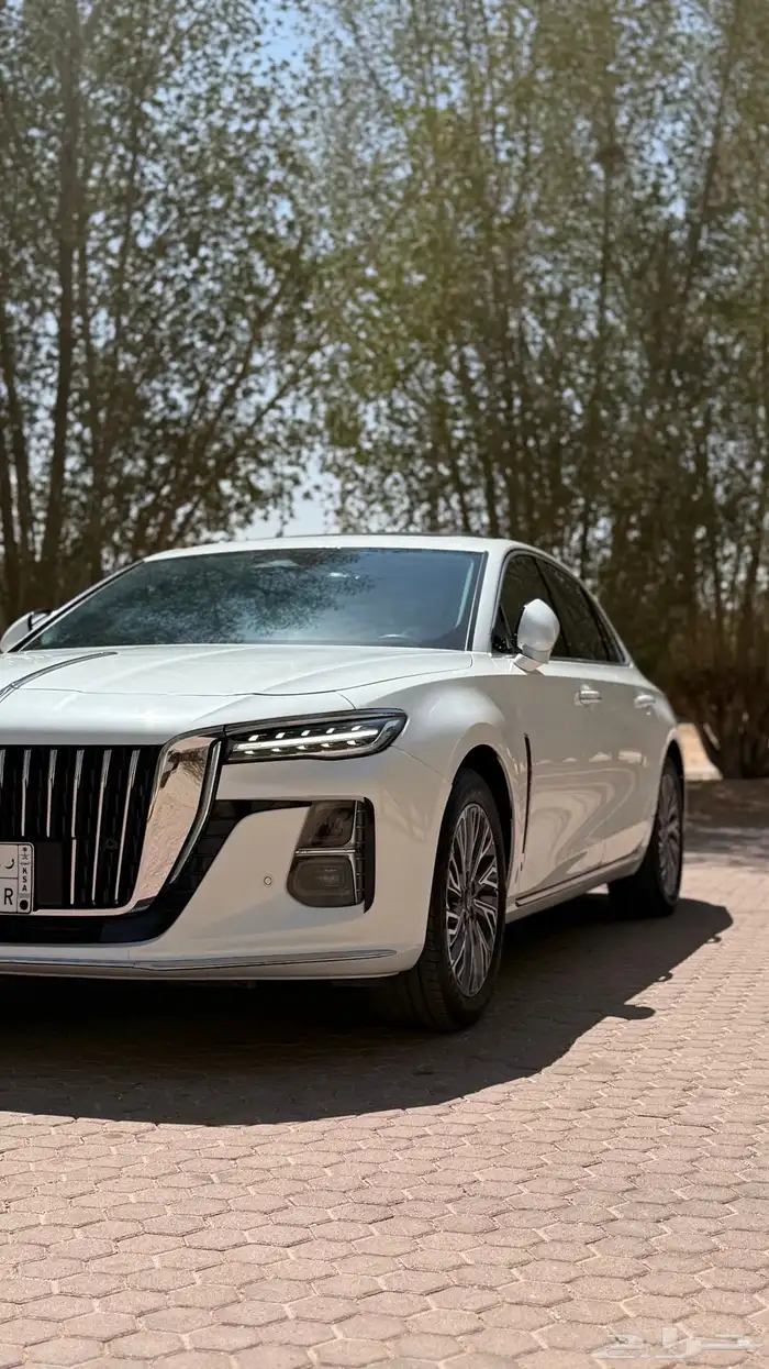 هونشي 2024 ممشي قليل 5