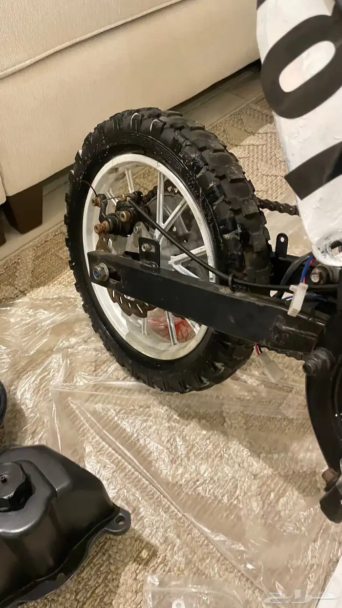 دباب صحراوي صغير 7