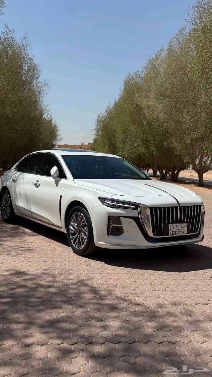 هونشي 2024 ممشي قليل 3