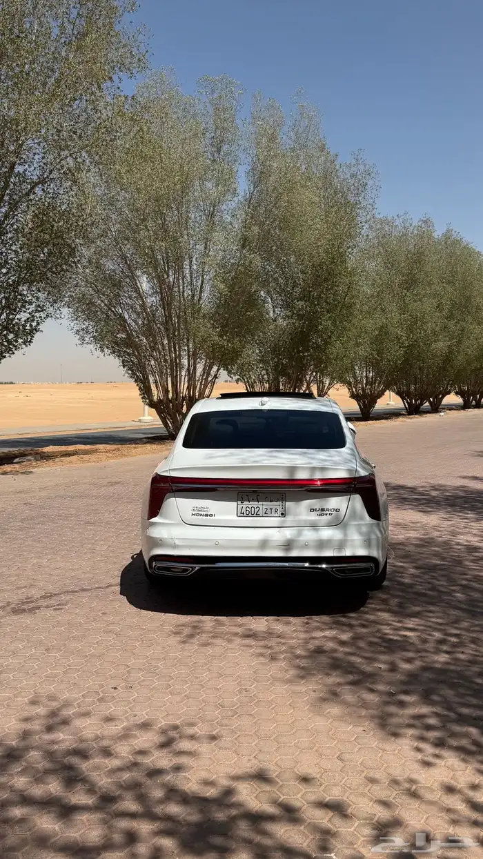 هونشي 2024 ممشي قليل 6