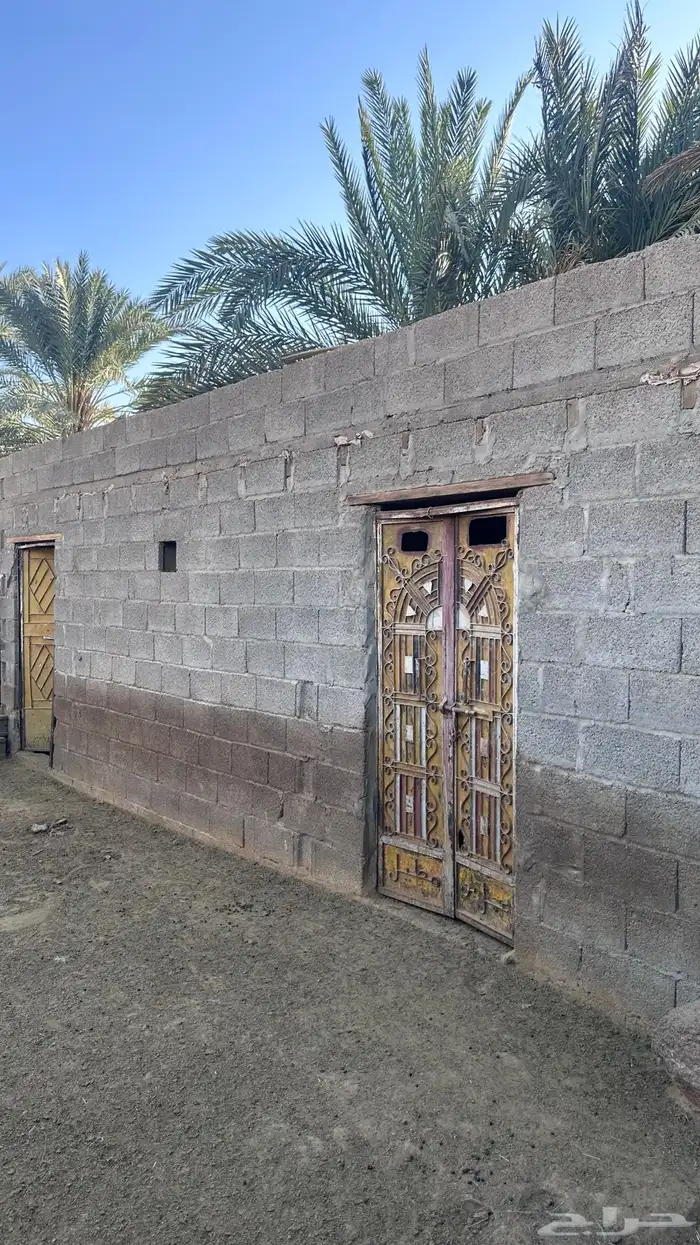 زريبة غنم جاهزه 4