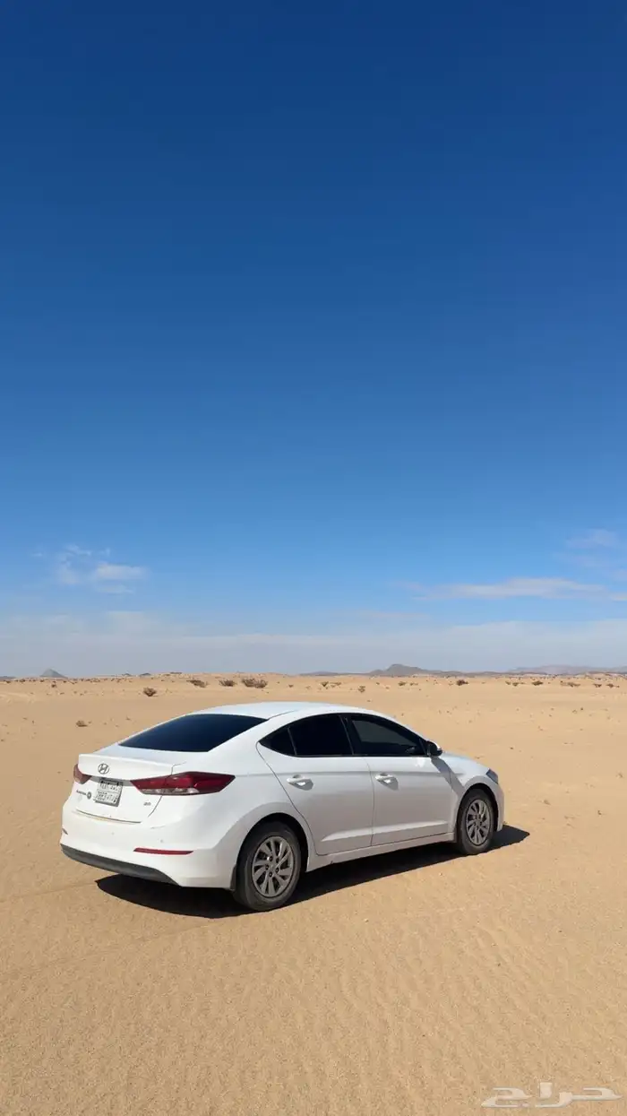 النترا 2018 11