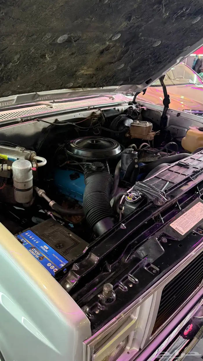 جمس 1981 رصاصي 31