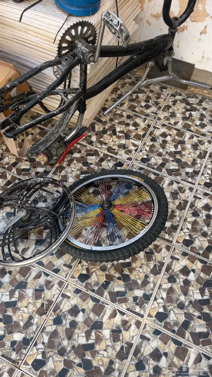 سياكل وجنوط 8