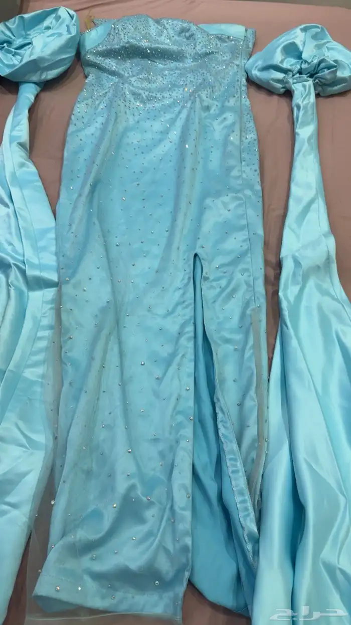 الشرايع مخطط -5 0