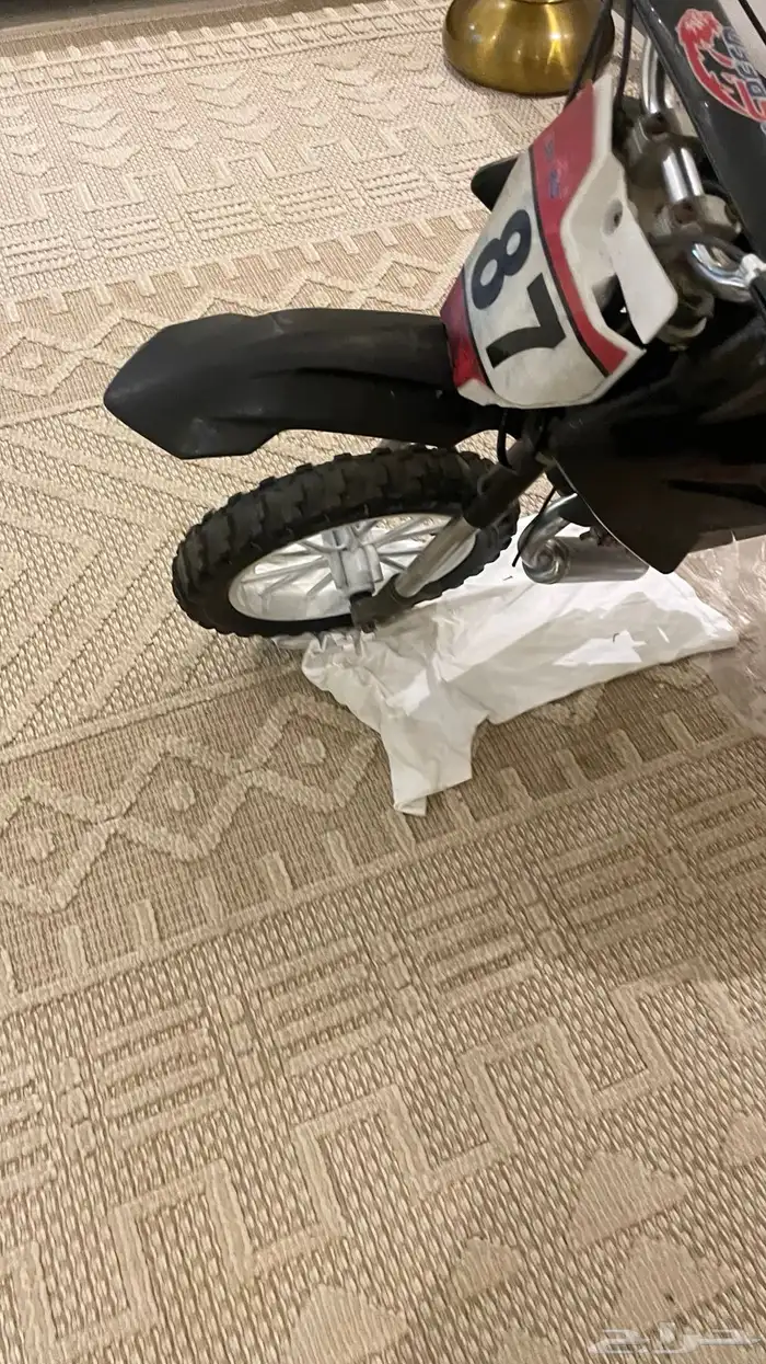 دباب صحراوي صغير 5