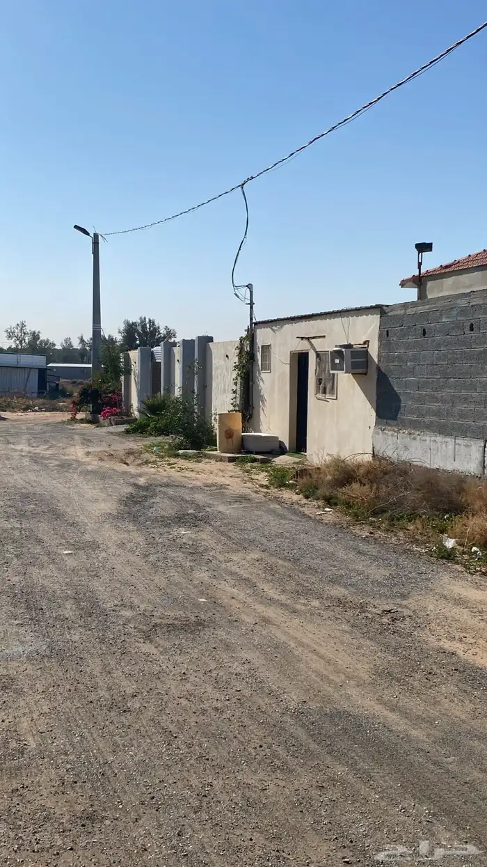 شاليه جوري الهلاليه البكيريه 0