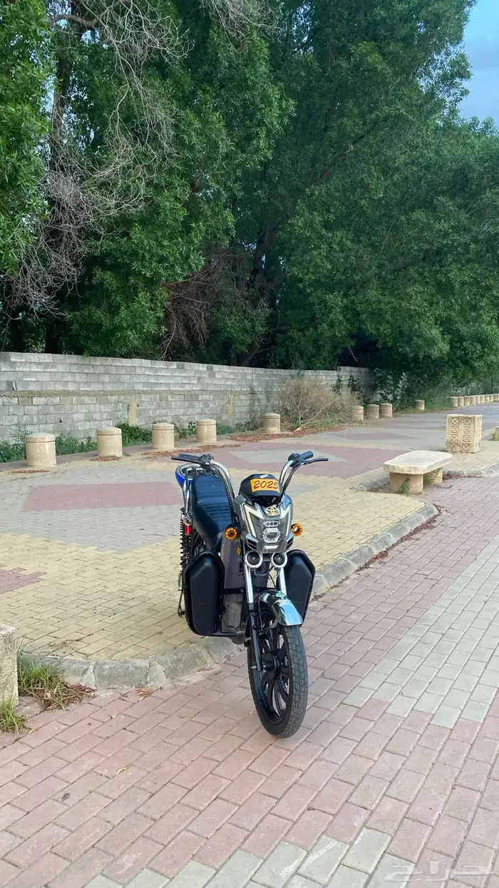 سكوتر كهربائي 10