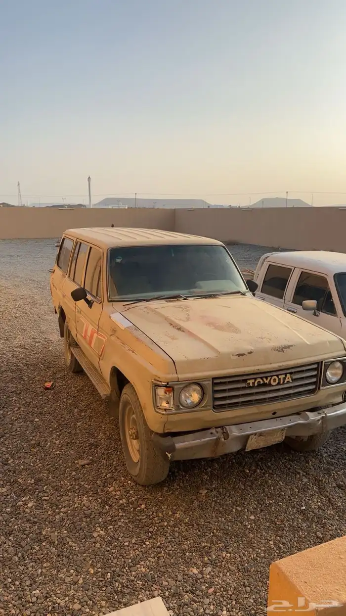 جيب صالون موديل 84 0