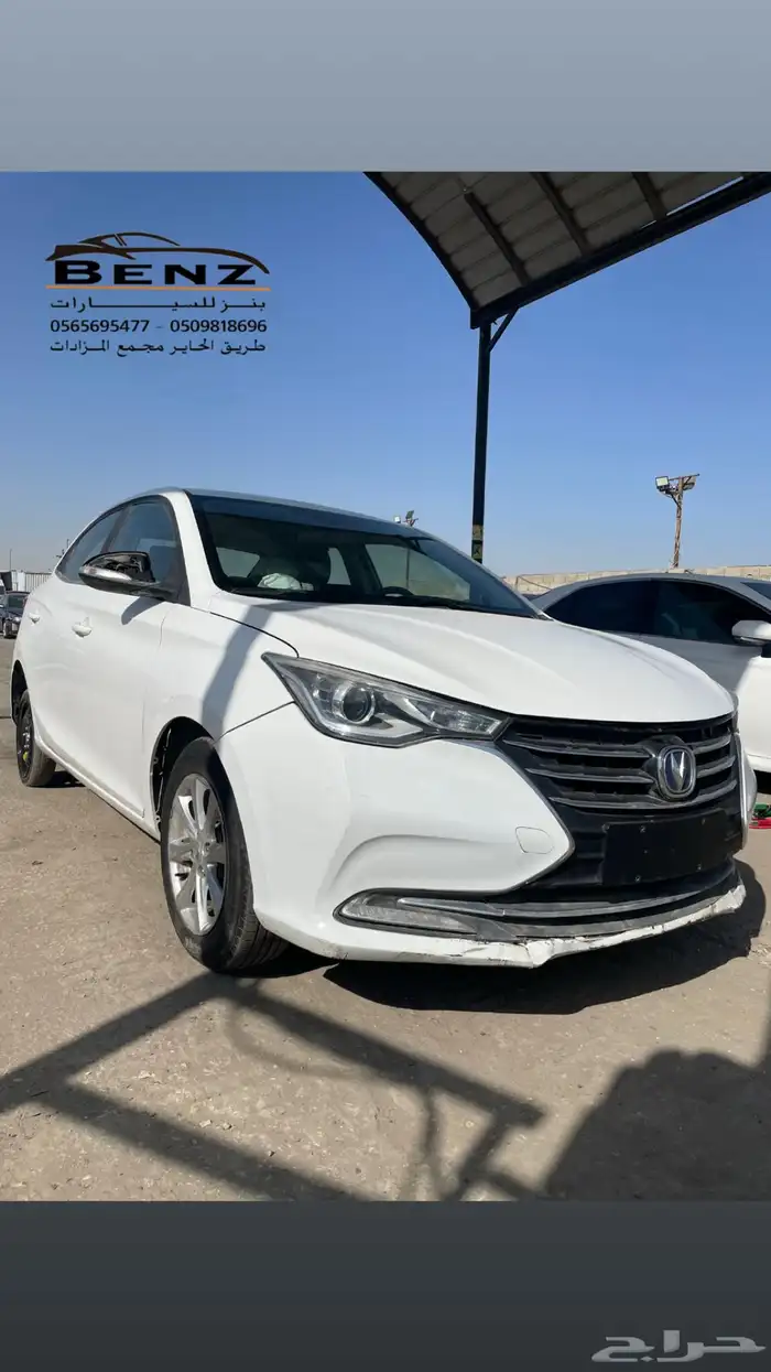 شانجان ال سفن مصدوم 0