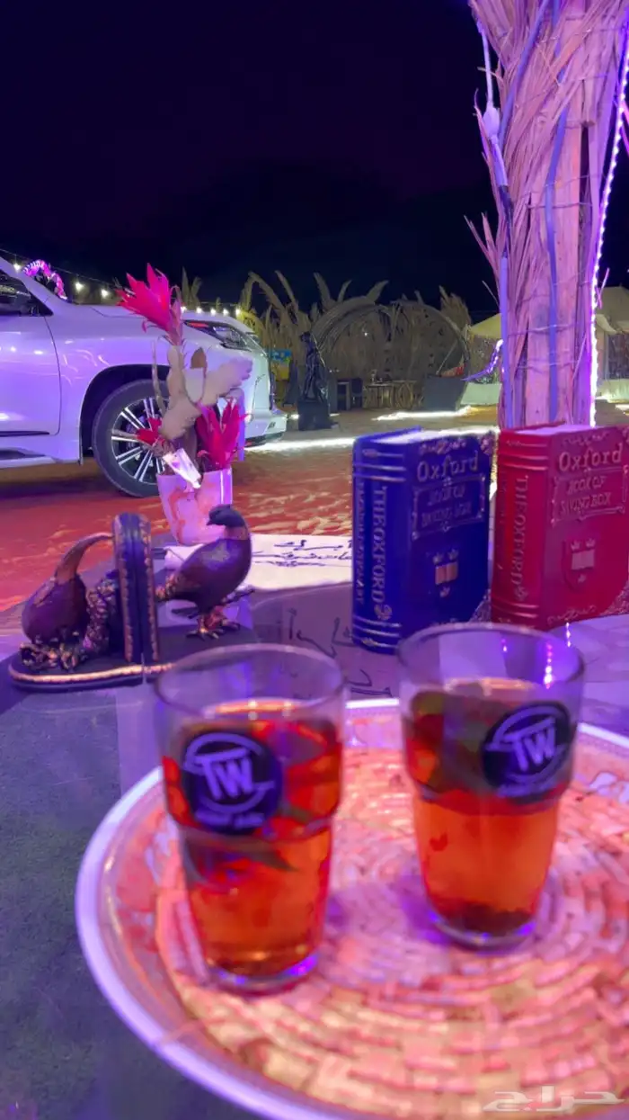 مخيم الريم للايجار الرياض 39