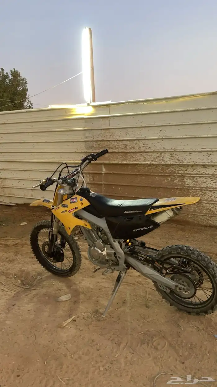 دباب صحراوي 2