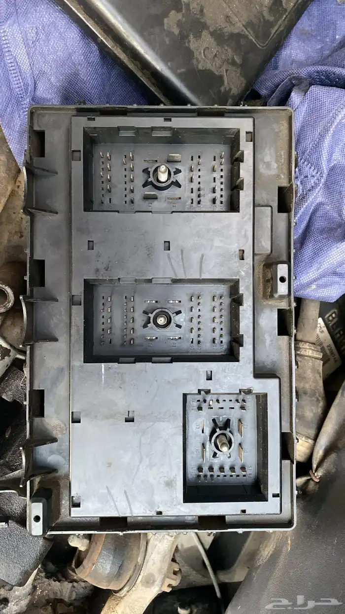 ان سافانا2011 0