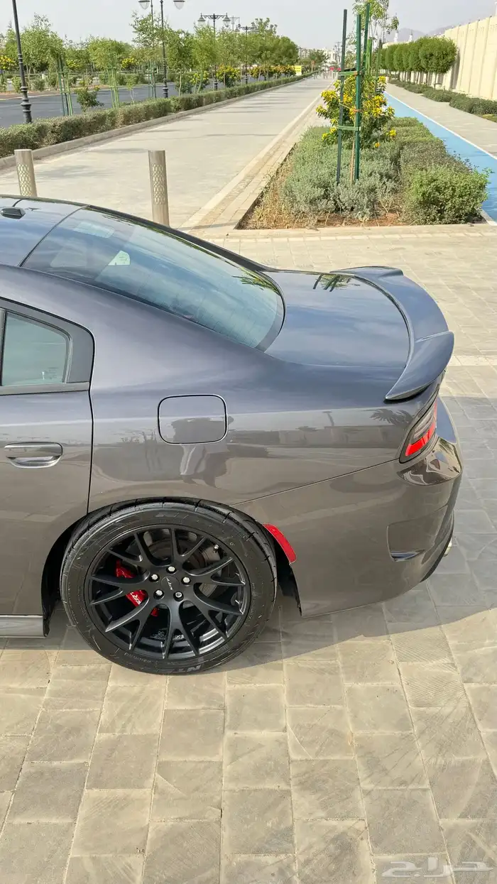 تشارجر SRT قمة النظافه 7