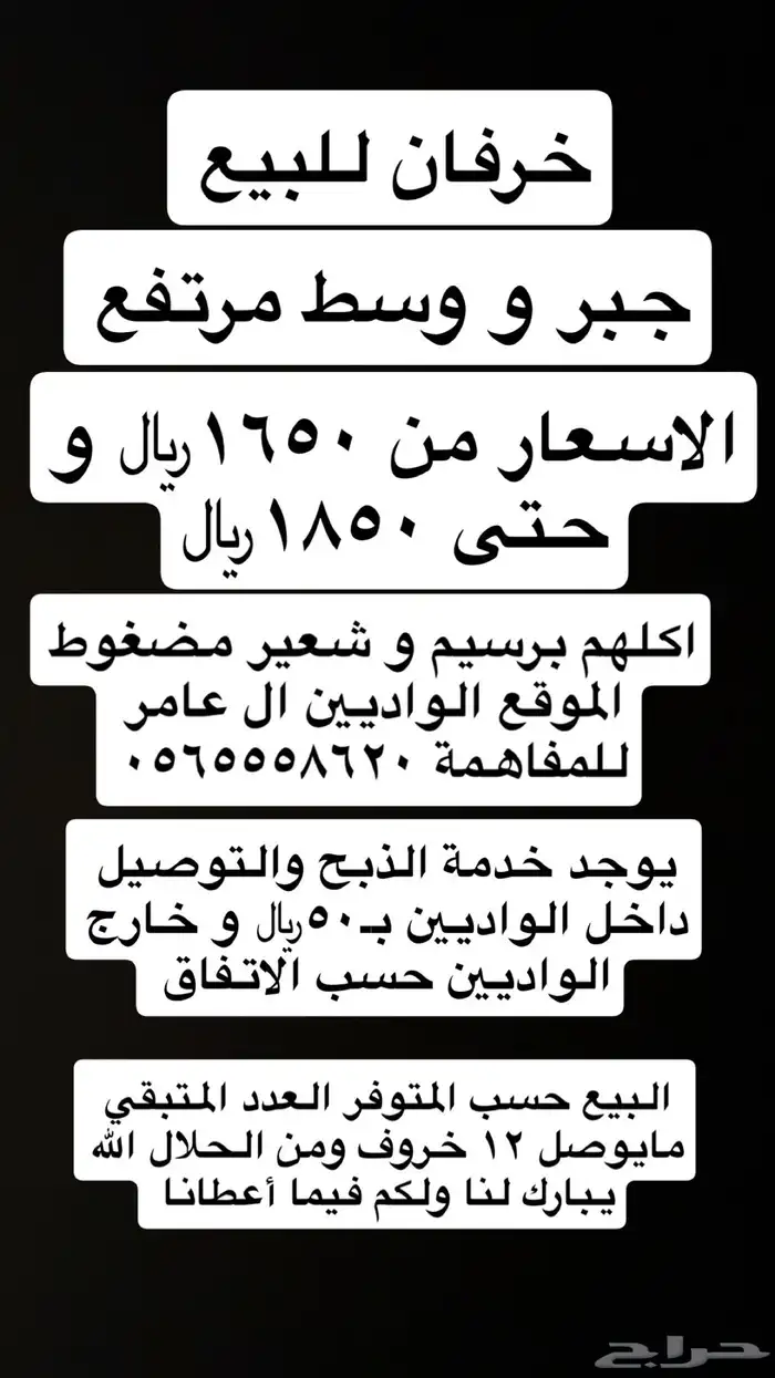 ذبايح للبيع مع توفر خدمة الذبح والتوصيل 1