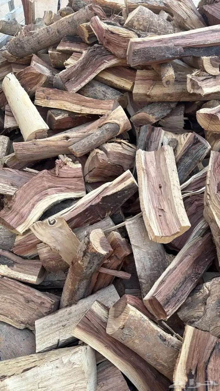 صندوق والدنا اللبيع نضيف 1