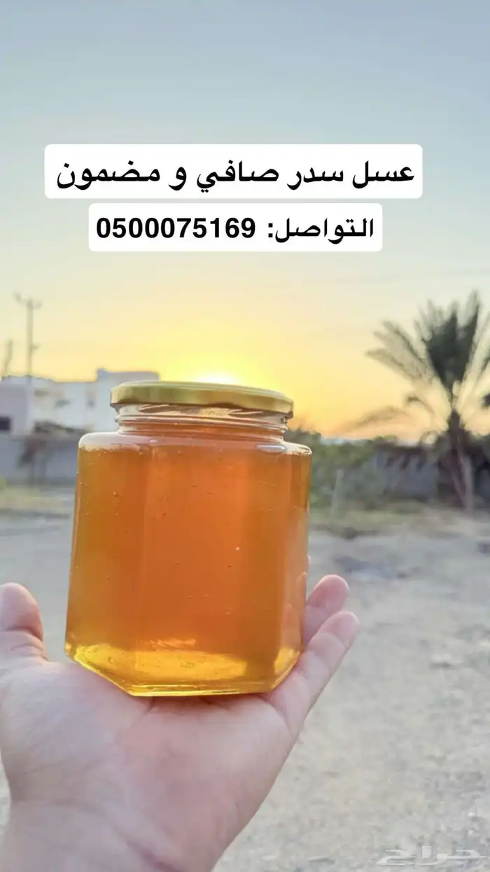 عسل سدر صافي ومضمون 0