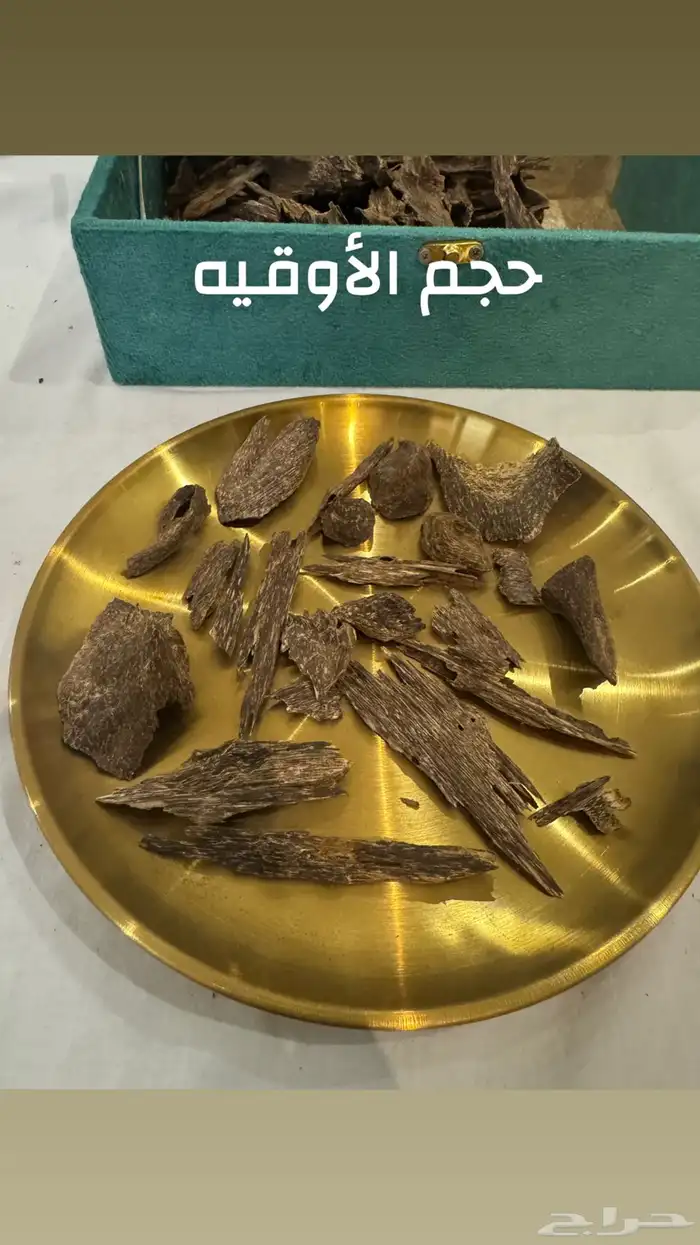 عود بنكاوي درجه عاليه طبيعي 100   100 10