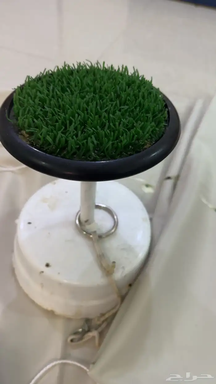 وكر ودس واشياء اكثر 2