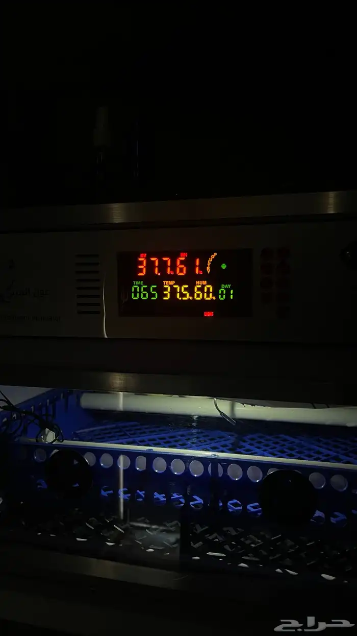 فقاسة عون المربي 3