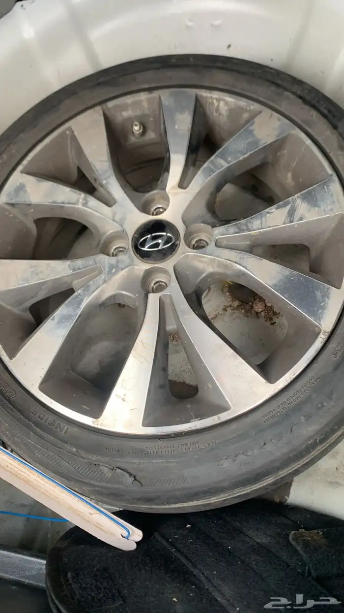 جنوط اكسنت وكالة 0