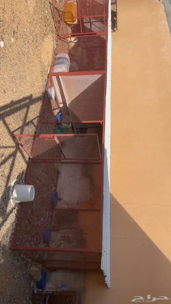 للبيع شبوك حديد 0