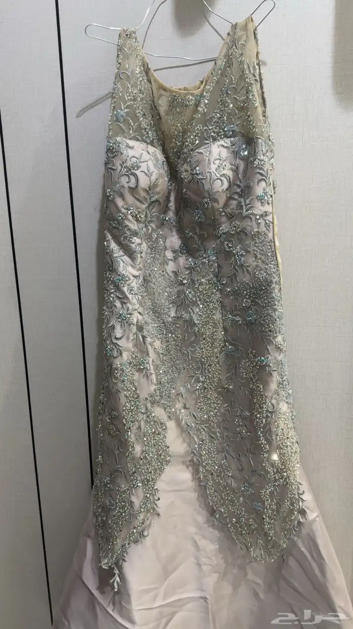 الشرايع مخطط -5 1