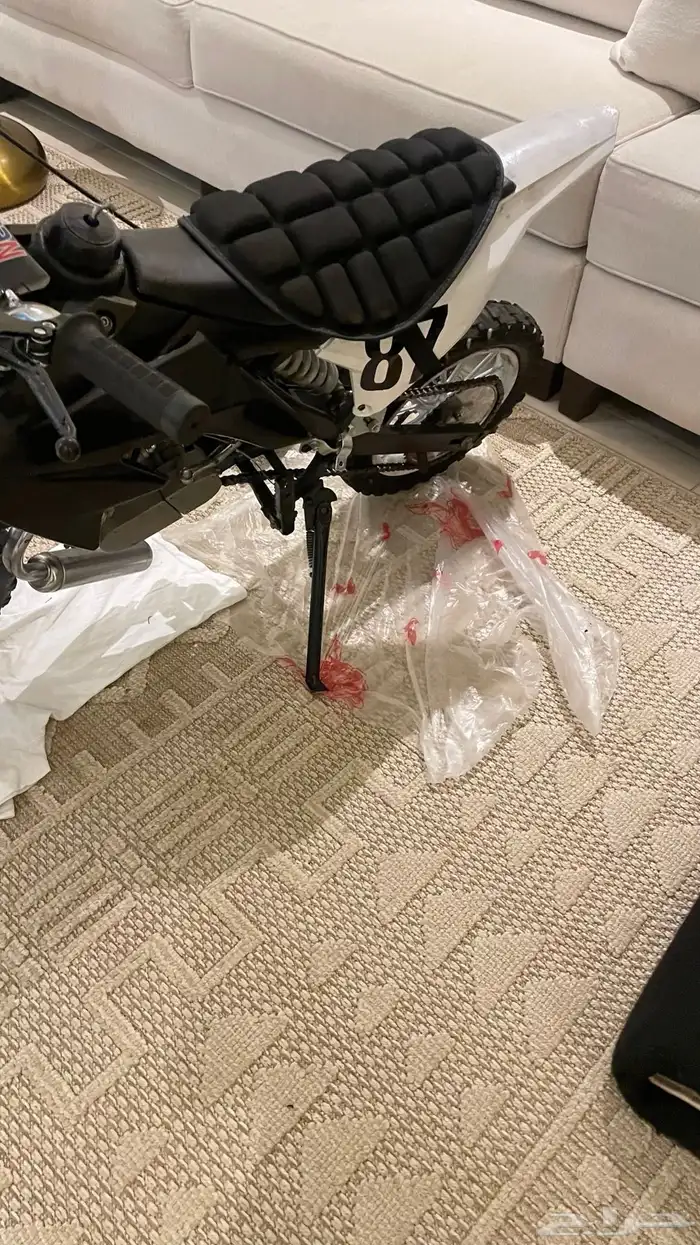 دباب صحراوي صغير 8