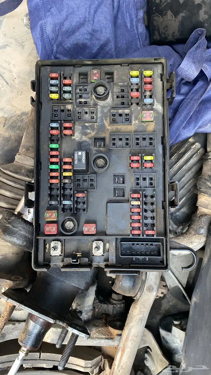 ان سافانا2011 1