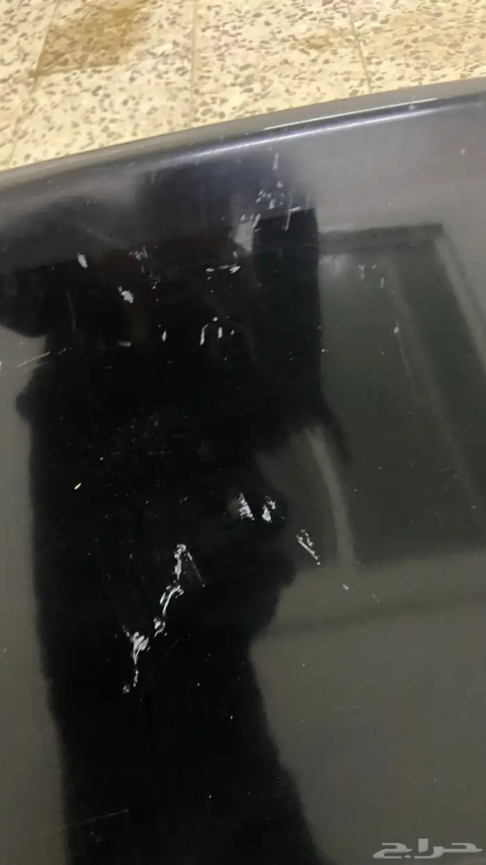 باب دبه كادنزا وكاله خاليه من الرش وسمكره 4