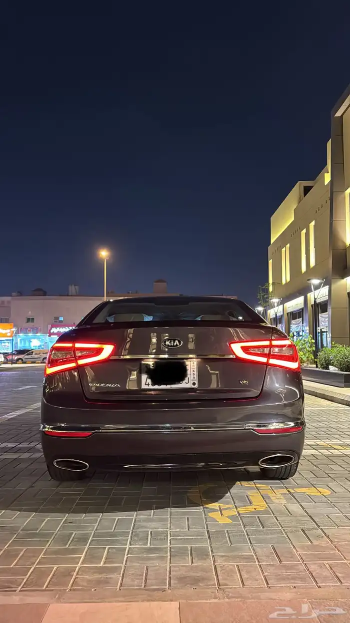 كادينزا 2014 3