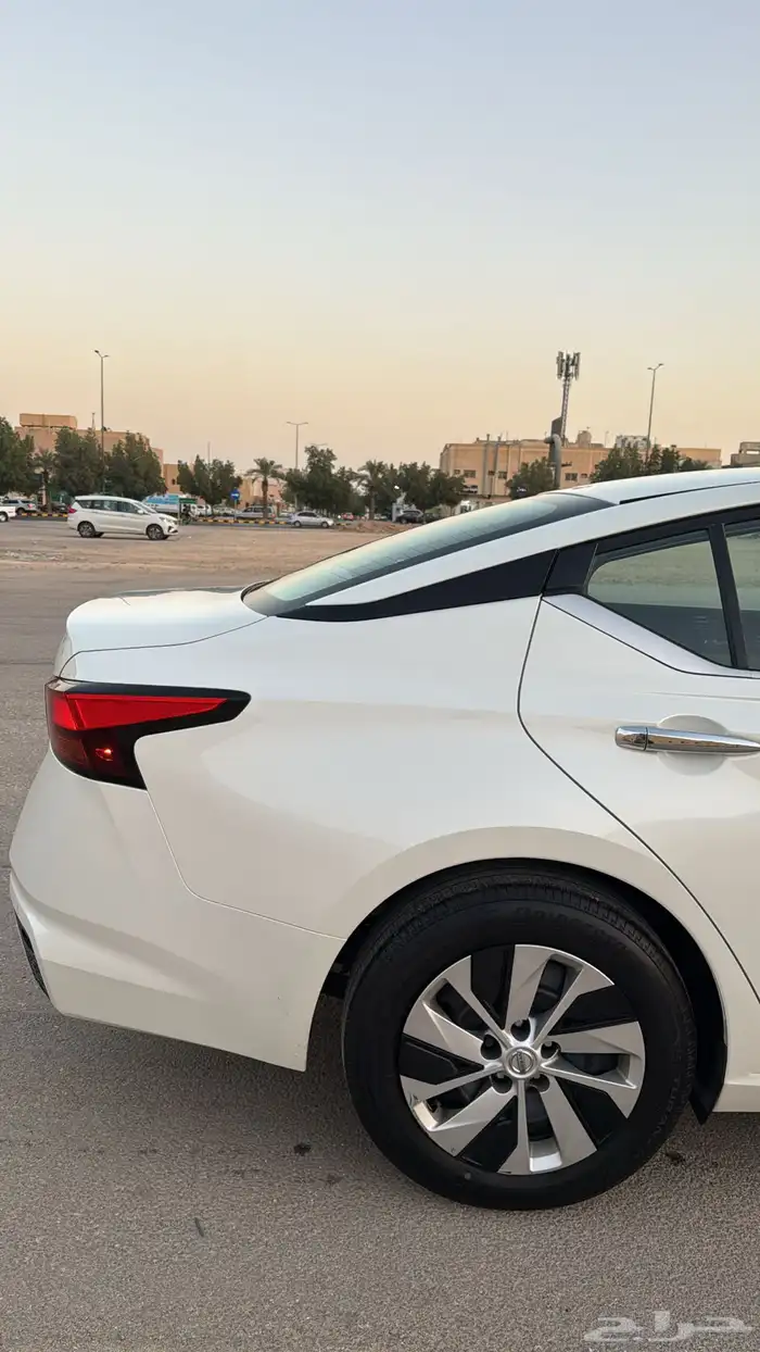 التيما 2020 استاندر وكاله 2