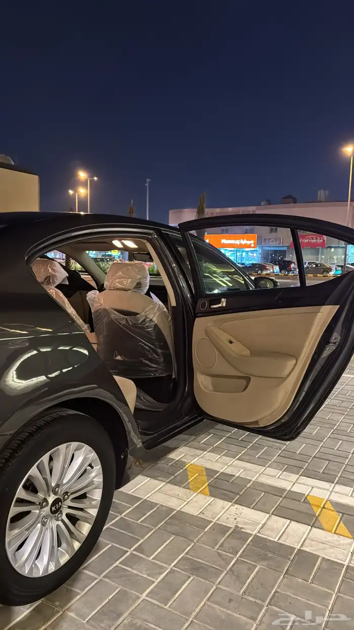 كادينزا 2014 12